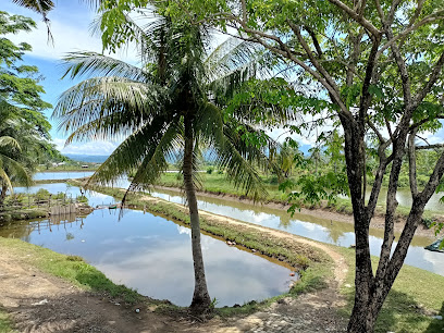 Emppang Lajari