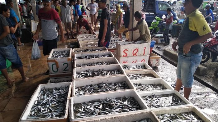 Tempat Pelelangan Ikan Sumpang Binangae